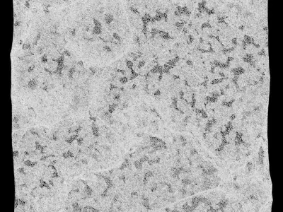 316-RockPanel rock texture 3D model