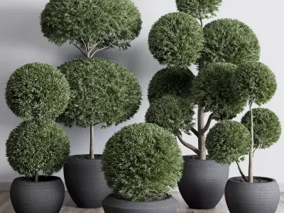 Topiary plant in an old concrete pot 3D model