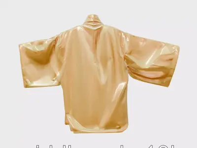 Traditional Kimono Jacket with Silk Lining Low-poly 3D model