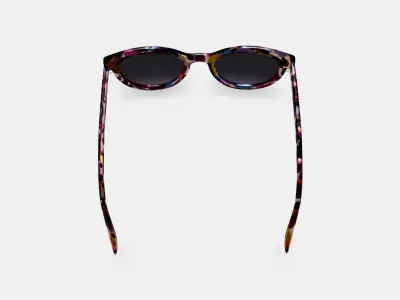 Raina Sunglasses in Confetti Tortoise 3D model