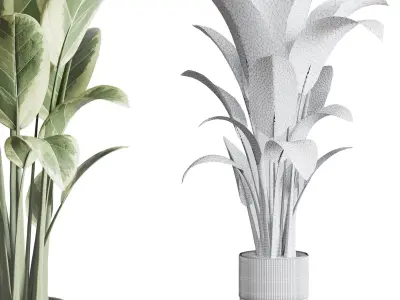 ficus elastica pot Indoor outdoor plant 296 concrete dirt vase Low-poly 3D model
