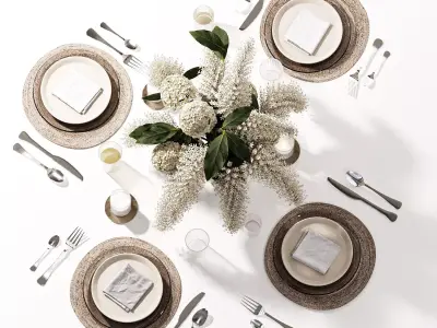 Table setting-H29 3D model