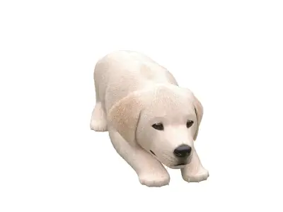 Golden Retriever puppies for kind designer hands 3D model