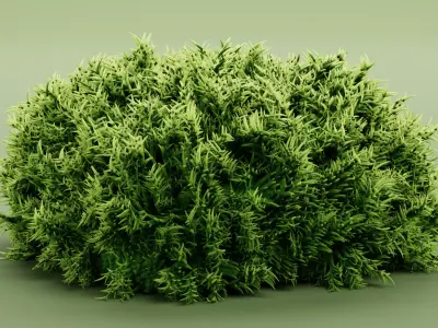 Moss V1 Low-poly 3D model