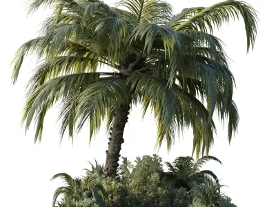 garden pot tree palm bush Collection Outdoor plant  3D model