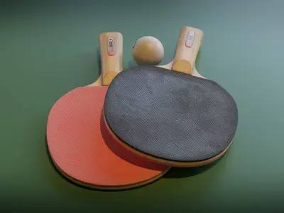 Ping Pong Racket and Ball Set Low-poly 3D model
