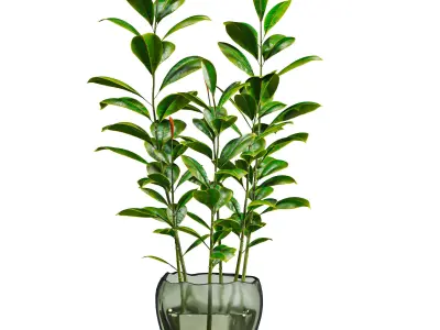 bouquet 3D model