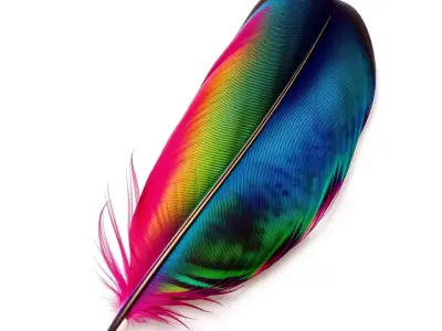 Rainbow Feather model pack Texture
