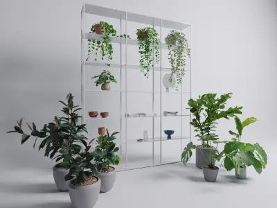 Potted plants with shelf set 1 3D model