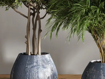 indoor plant stand 18 3D model