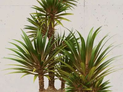 Restoration Hardware corso planter 3D model