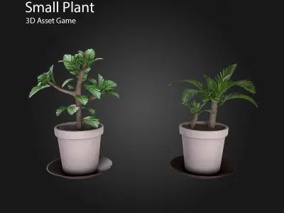 Small Plant Low-poly 3D model