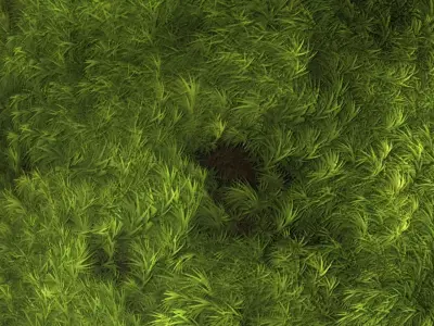 Broom Fork Moss PBR Material and  Texture