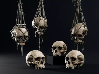 Skull and Hanging Skulls on Ropes Low-poly 3D model