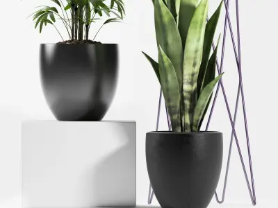 plants set 125 3D model