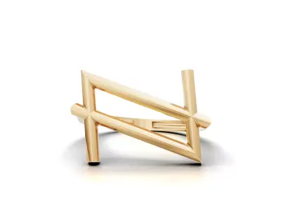Minimal Abstract Ring 69 3D print model