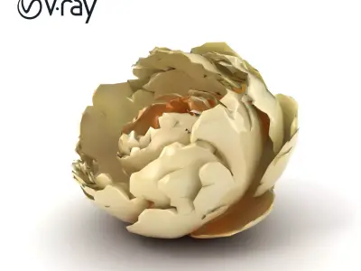 Peony Blossom Realistic Floral model pack Low-poly 3D model