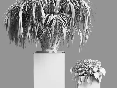 Outdoor plant 13-palm tree 3D model