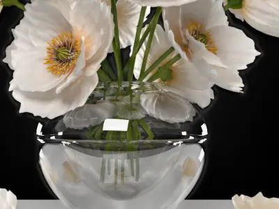  white poppies flowers 3D model