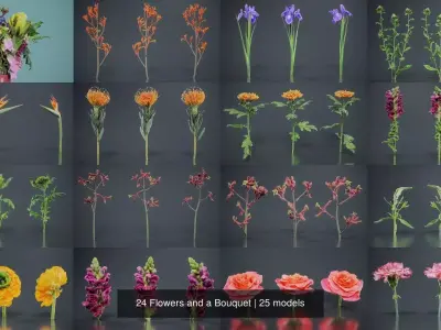 24 Flowers and a Bouquet 3D Model Collection