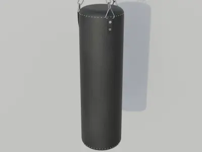 Punch Bag 3D model