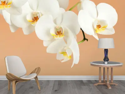 Photo Wallpaper No 28 Low-poly 3D model