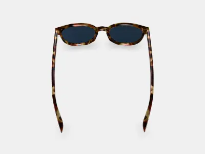 Sydney Sunglasses in Brioche Tortoise 3D model