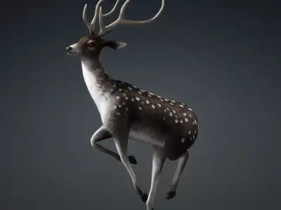 Deer-C3 3D model