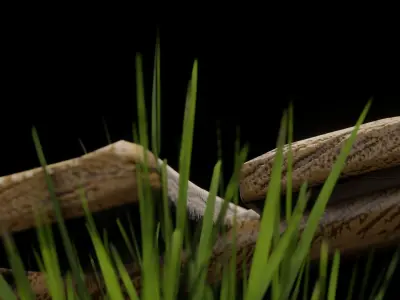 Medieval Cart 3D Model  3D model