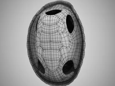 Turtle dirt gray shell Mock-up 3d Model 3D model