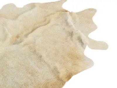 Animal skin rug 18 3D model