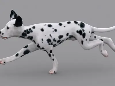 dog dalmatain spotty dog 3D model