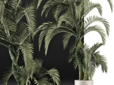 Plants Collection 137 Exterior Plant 3D model