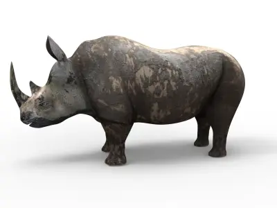 Dirty Realistic Rhino Rigged and animated 3D Model Low-poly 3D model