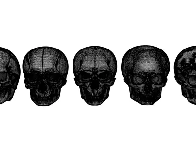 Decorative skull 3D model