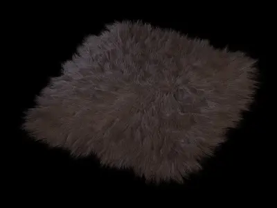 Skin sheepskin 02 3D model