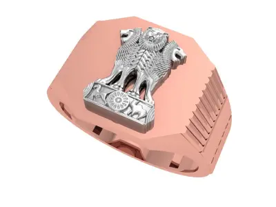 Indian Ashoka Ring 3D print model