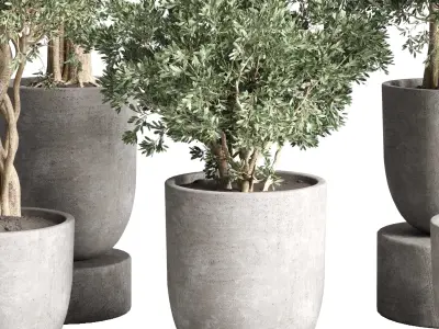 set indoor outdoor plant tree vase dirty concrete 3D model