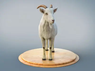 White Goat static Xgen Core 3D model
