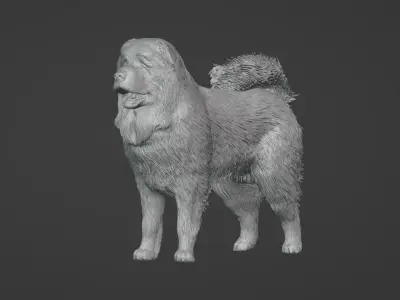 Caucasian Shepherd Dog 3D model