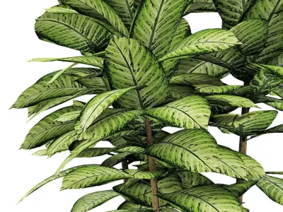 Plant in Pot Flowerpot Exotic Plant 3D model 17