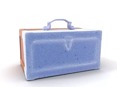 Vintage Wooden Suitcase model pack Low-poly 3D model