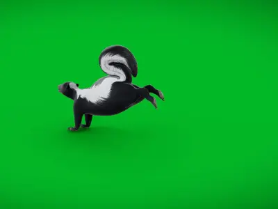 Striped Skunk Low-poly 3D model