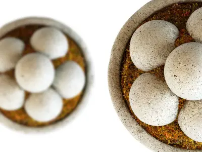 Hand Cast Hypertufa Centerpiece with Preserved Moss   3D model