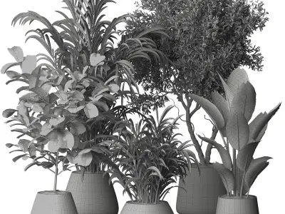 Indoor plant 08 3D model purchase