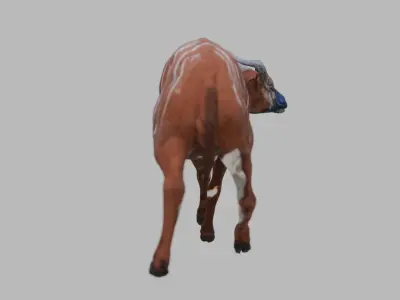 Female Bongo Antelope Realistic 3D model