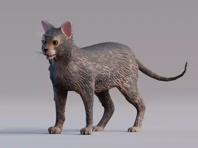 Low Poly - Stylized cats - Lykoi Cat Low-poly 3D model