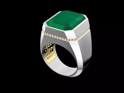 Ring scudo  3D print model