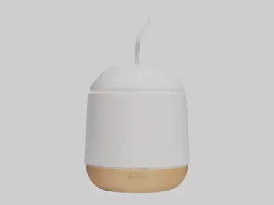 Scent diffuser model Low-poly 3D model