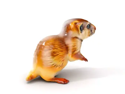 Furry Meerkat Model Pack with Detailed Textures Low-poly 3D model